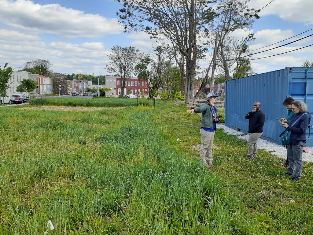 Scientists stand in a grassy lot in Baltimore City